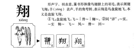 翔的五行|翔字的五行属什么